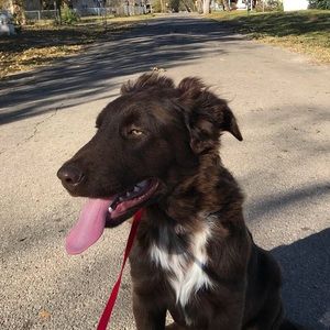 Meet your Posher, Lizbeth